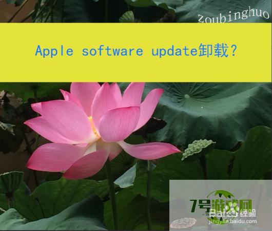 Apple software update卸载？