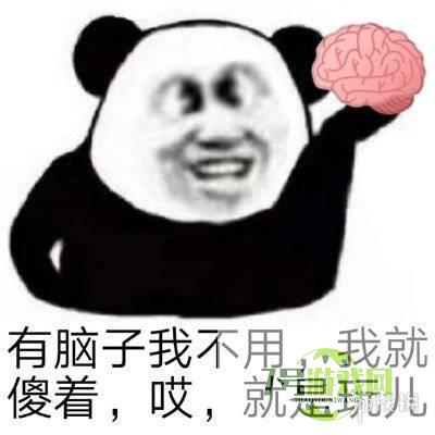 哎，就是玩儿是什么梗