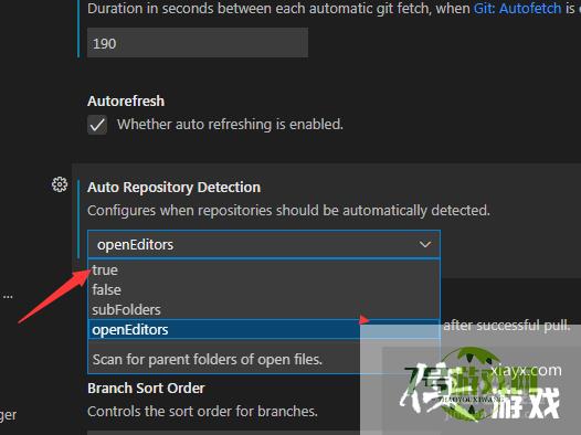 Visual Studio Code怎么自动存储库检测开启