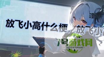 放飞小高什么梗，放飞小高是什么意思？是什么梗