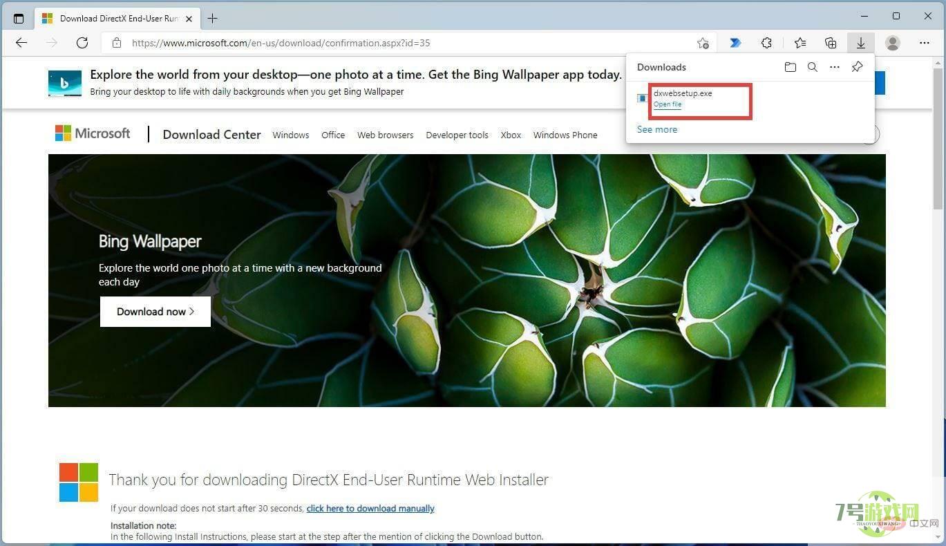 dxwebsetup