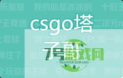 csgo塔子哥是什么梗