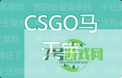 CSGO马天宇是什么梗