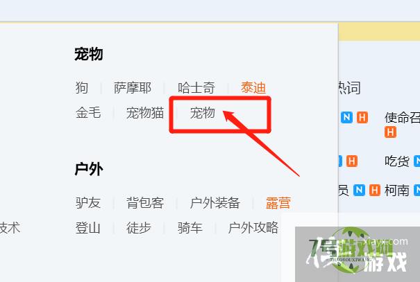 如何快速找到宠物类的交友QQ群？