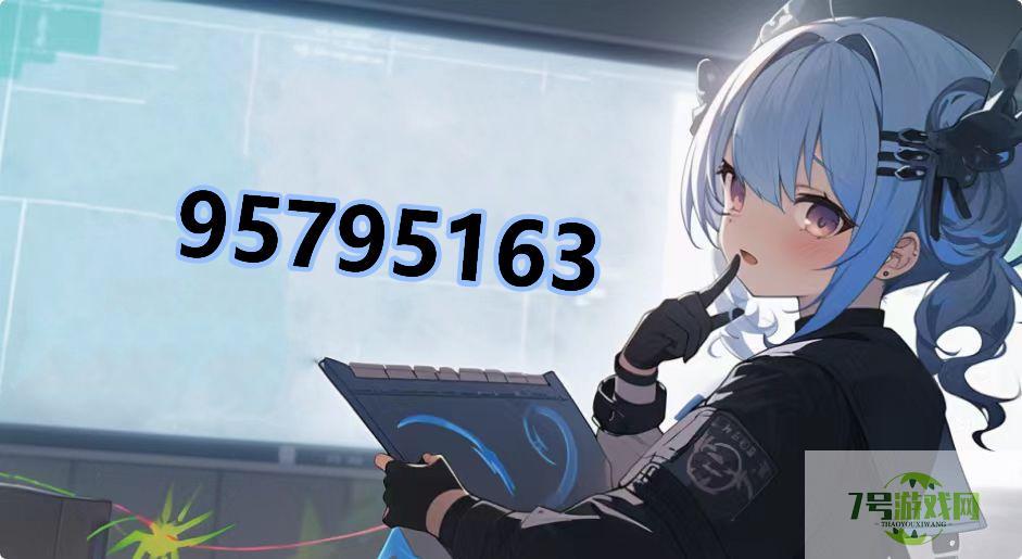 95795163是什么梗