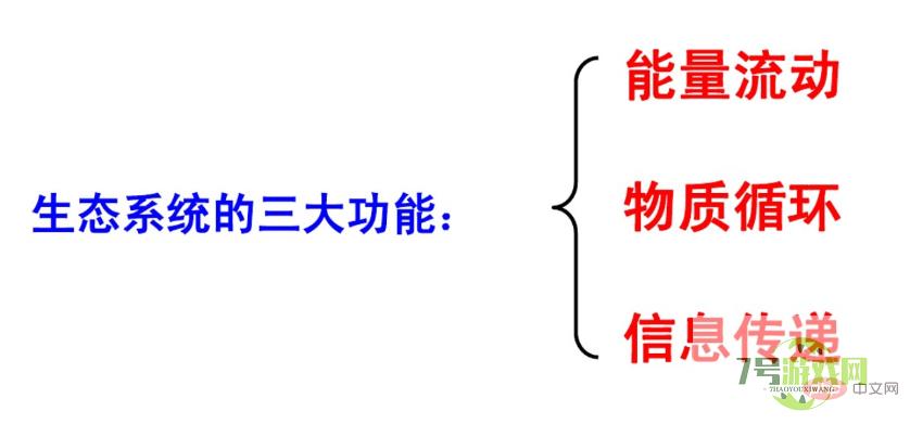 生态系统的功能