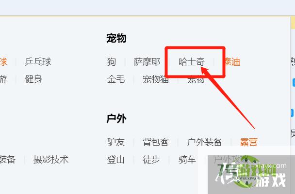 如何找到同样喜欢哈士奇的交友QQ群？
