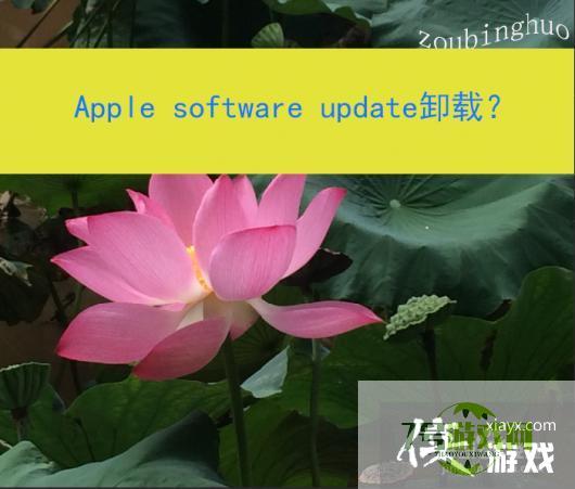 Apple software update卸载？