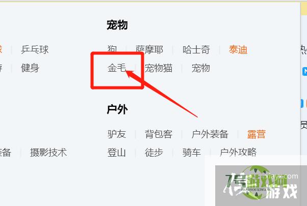 如何快速找到金毛QQ群？