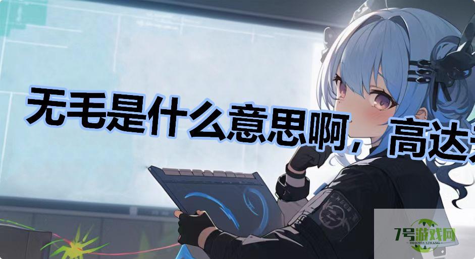 无毛是什么意思啊，高达无毛是什么梗