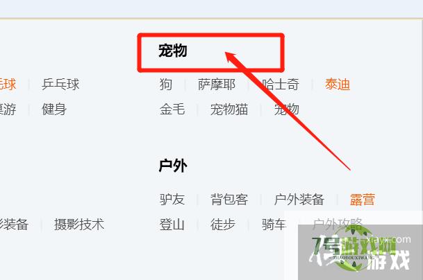 在QQ上宠物猫交友QQ群怎样快速找到？