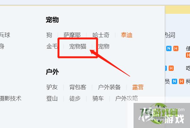 在QQ上宠物猫交友QQ群怎样快速找到？