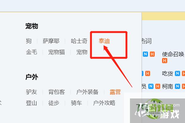如何快速找到都喜欢泰迪的交友QQ群？