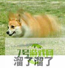 润是什么梗