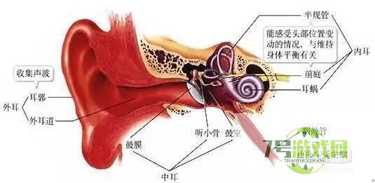 唱歌技巧与发声方法练习