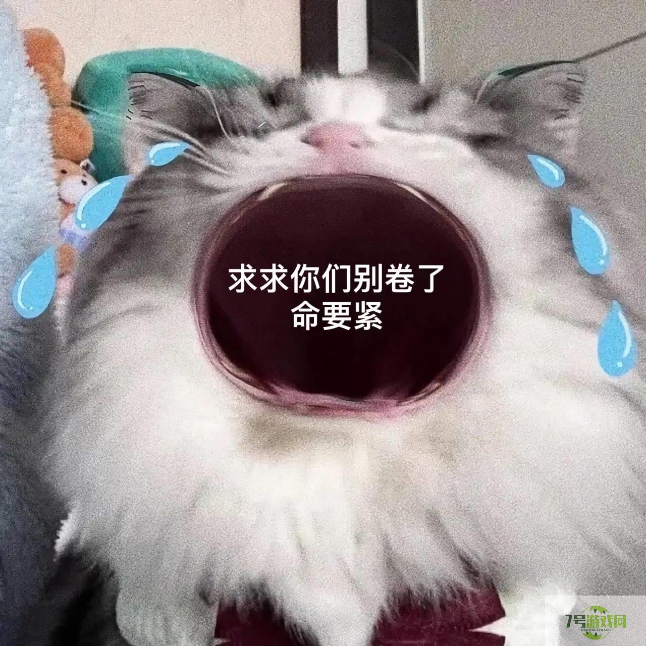 卷王是什么梗
