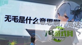 无毛是什么意思啊，高达无毛是什么梗