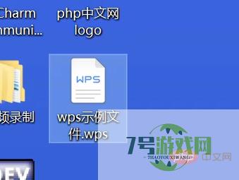wps是什么格式