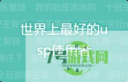 世界上最好的usp使用者是什么梗