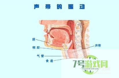 唱歌技巧与发声方法练习