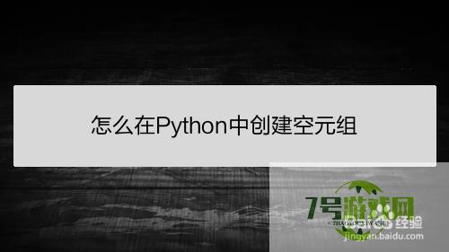 怎么在Python中创建空元组