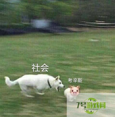 你当我考辛斯没见过钱？是什么梗