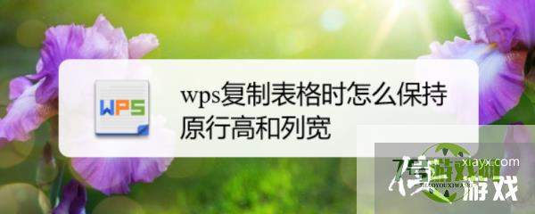 wps复制表格时怎么保持原行高和列宽