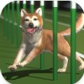 Top Dogs安卓版手游下载  v0.0.4