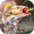 钓鱼大师真实模拟安卓版官方下载（Fishing Master Real Simulation）  v1.0.6