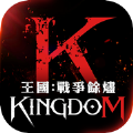 王国Kingdom战争余烬游戏官方下载  v1.00.36