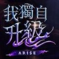 我独自升级Arise中文版手游  v1.0.11