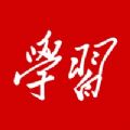 学习强国双人对战最新版下载  v2.53.0