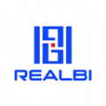 REALBI行业资讯下载  v1.4