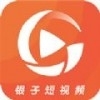 银子短视频app手机版  v1.0