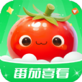 番茄喜看小说软件官方下载  v1.0.1