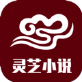 灵芝小说手机版app  v2.3.0.6