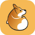 Corgi app安卓版软件下载  v2.2.12