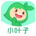 小叶子智能陪练app免费版下载苹果ios最新版  v8.1.0