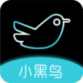 小黑鸟app官方最新版本下载安装手机版  v1.0.2