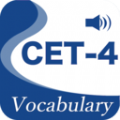 CET4精选词汇英语学习下载  v3.1.1