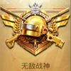 平板视角pubg软件app下载  v1.0