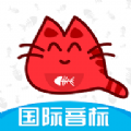 大猫英语国际音标app手机版下载  v1.0.0