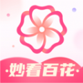 妙看百花软件手机版下载  v1.0.0