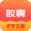 拾光胶囊识字学习app手机版下载  v1.2