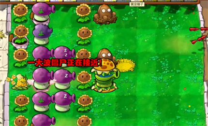 PVZ杂交版英雄模式公主驾到通关详解