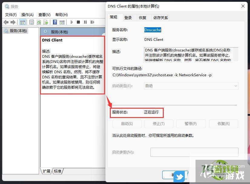 Win11无法联网怎么办? win11安装后设备不能上网的解决办法