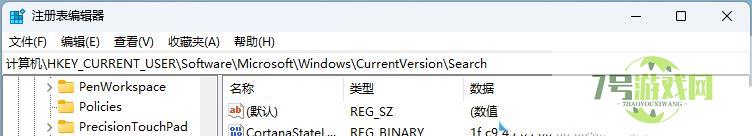 Win11如何彻底关闭搜索功能? Win11关闭网络搜索的方法